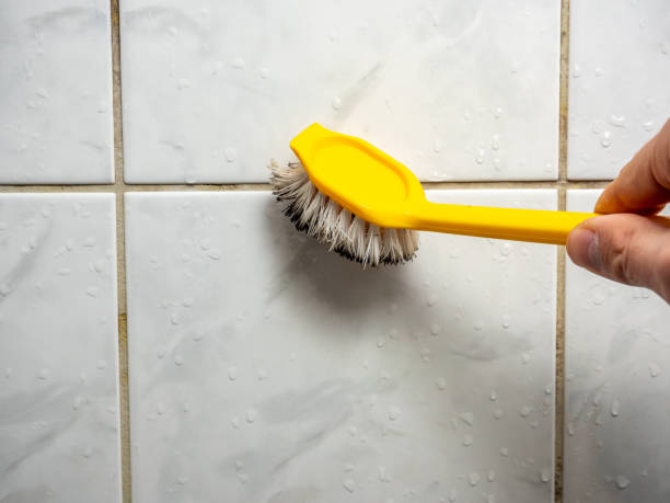 Best Same-Day Mold Removal  in Palo Alto, CA