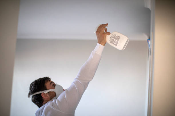 Best Residential Mold Removal  in Palo Alto, CA