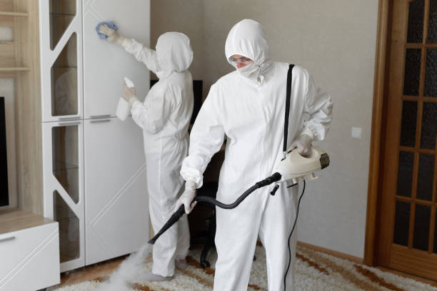 Palo Alto, CA Mold Removal Company